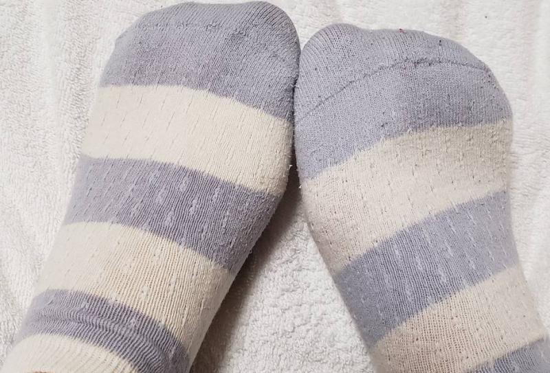 出品者名-写真-1